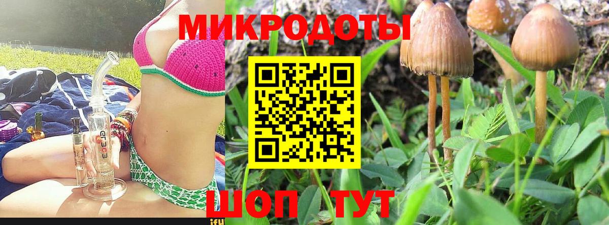 Псилоцибиновые грибы мухоморы Красноармейск