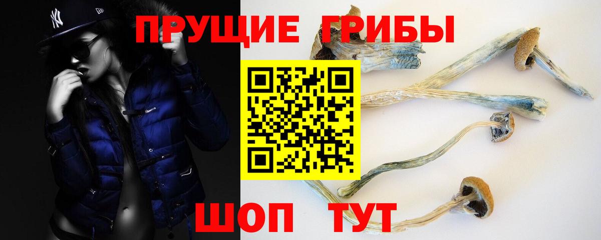 Красноармейск  Галлюциногенные грибы Psilocybe  Вход с VPN 